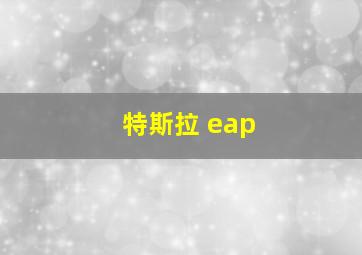 特斯拉 eap